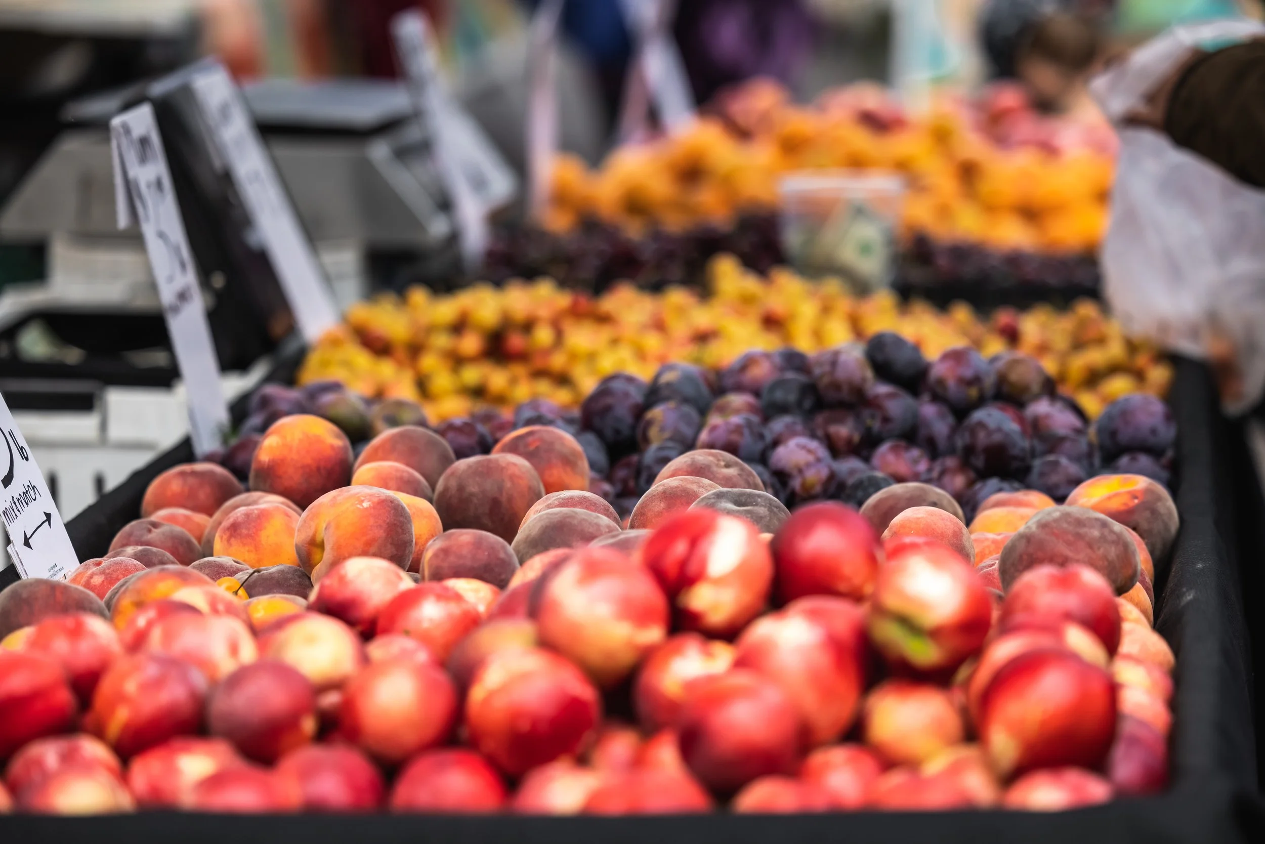 Ski Run Farmers' Market
