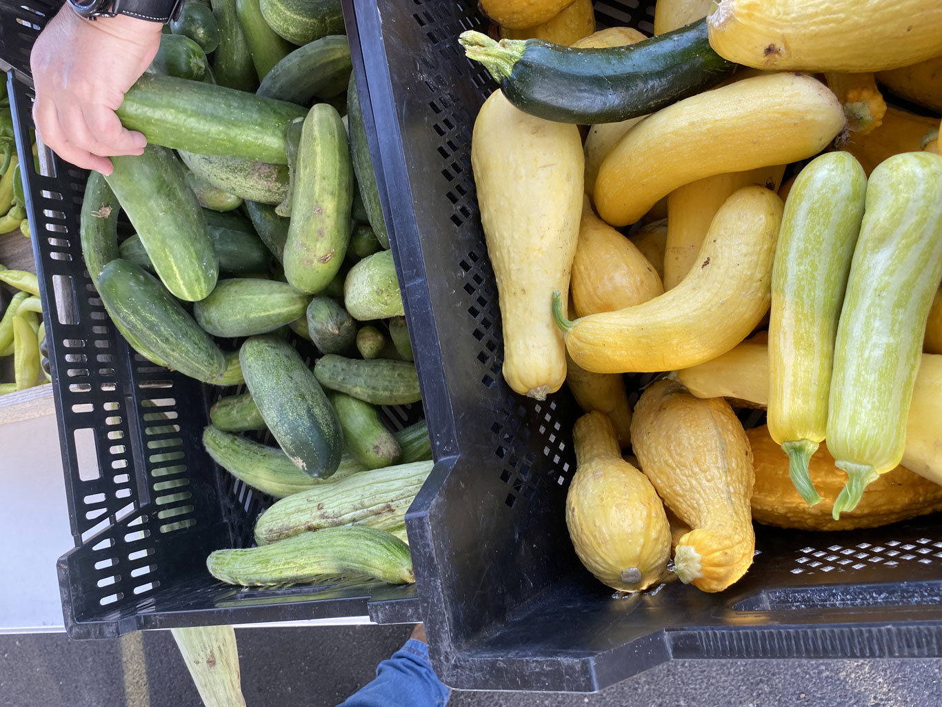 Galena KS Farmer's Market photo 2