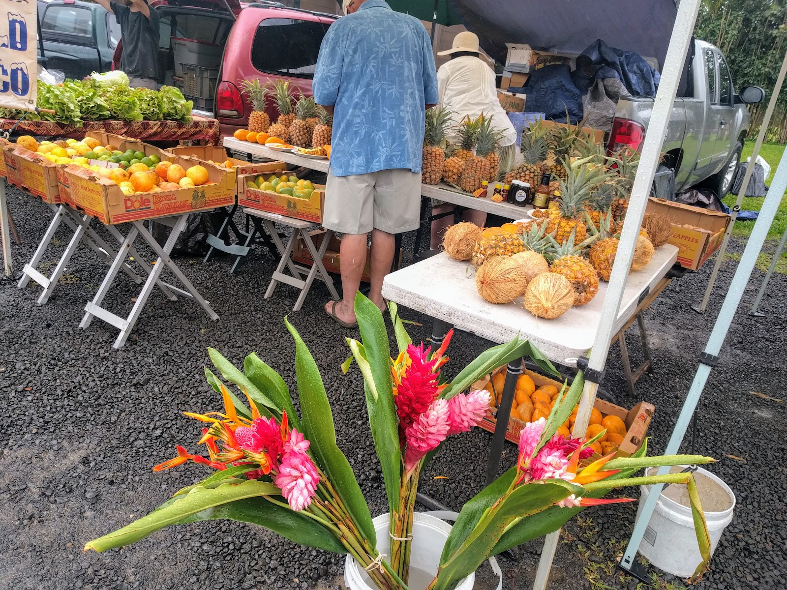 Hanalei Farmers' Market at Hale Halawai 'Ohana O Hanalei photo 6