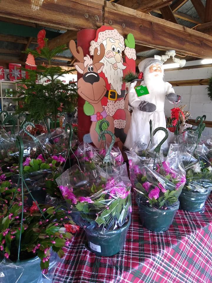 Ergle Farm photo 17