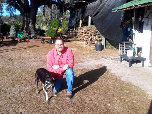 Ergle Farm photo 23