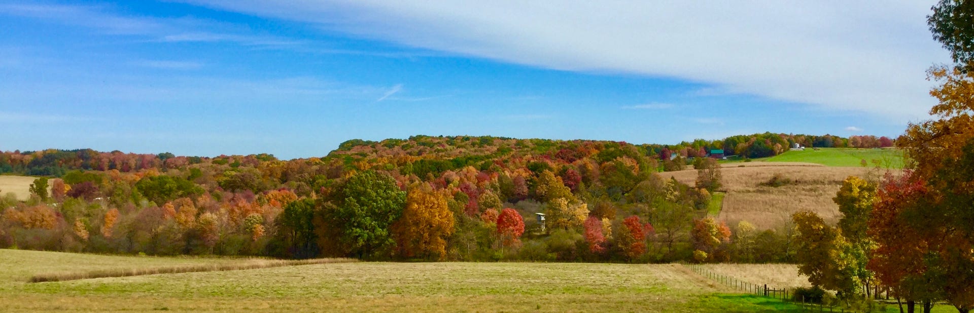 Harmony Grove Farm