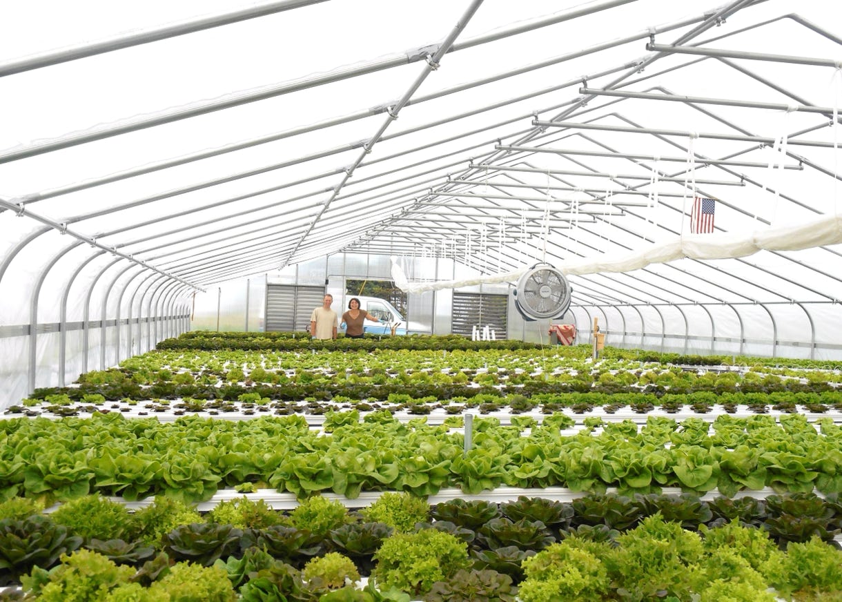 Harmony Grove Farm photo 2