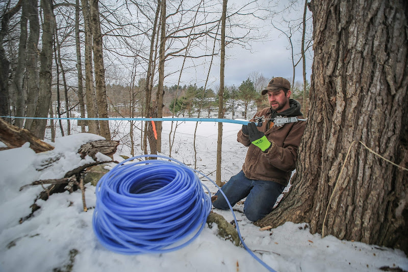 Wolf Creek Farm photo 6