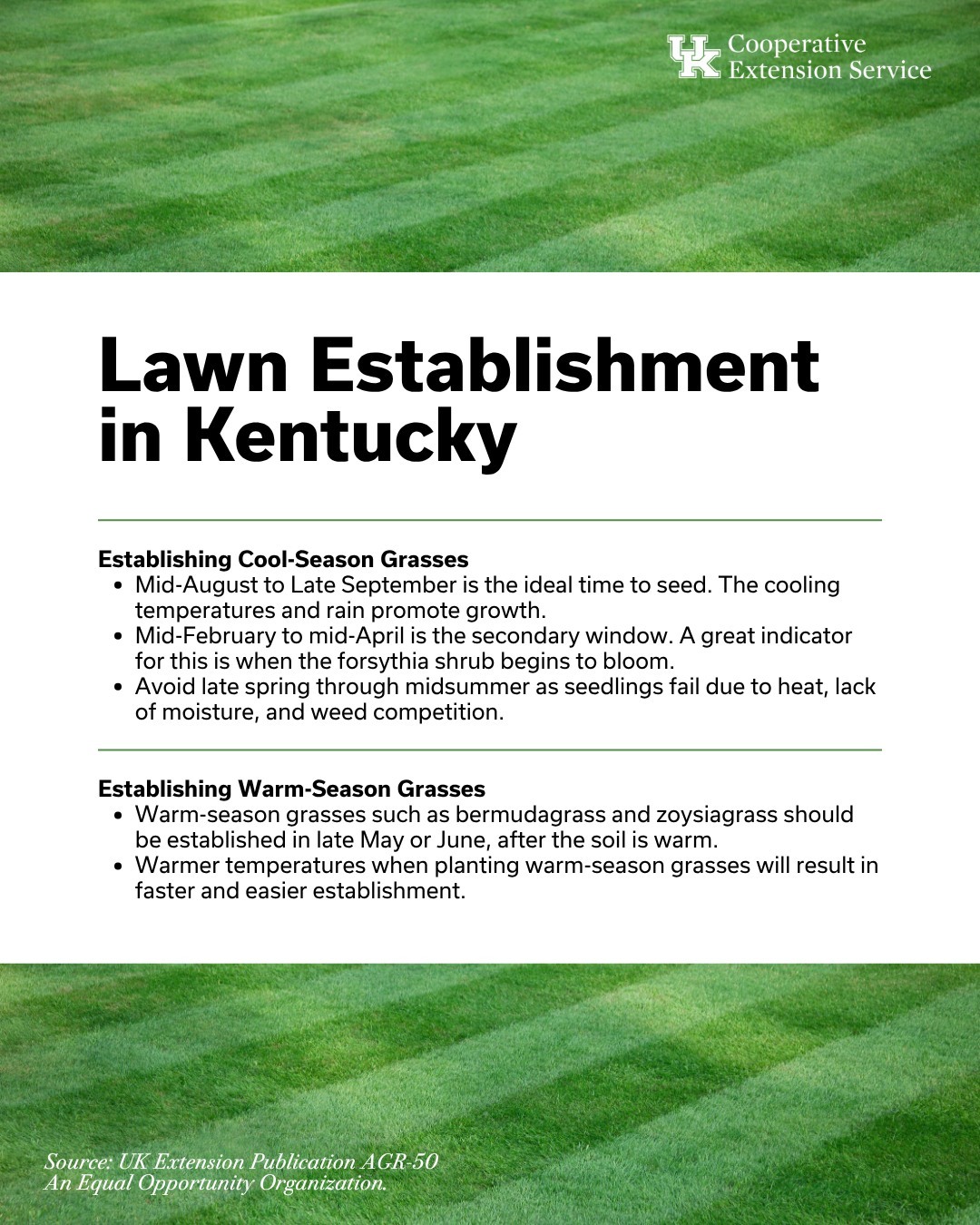 Boone County Farmers Market