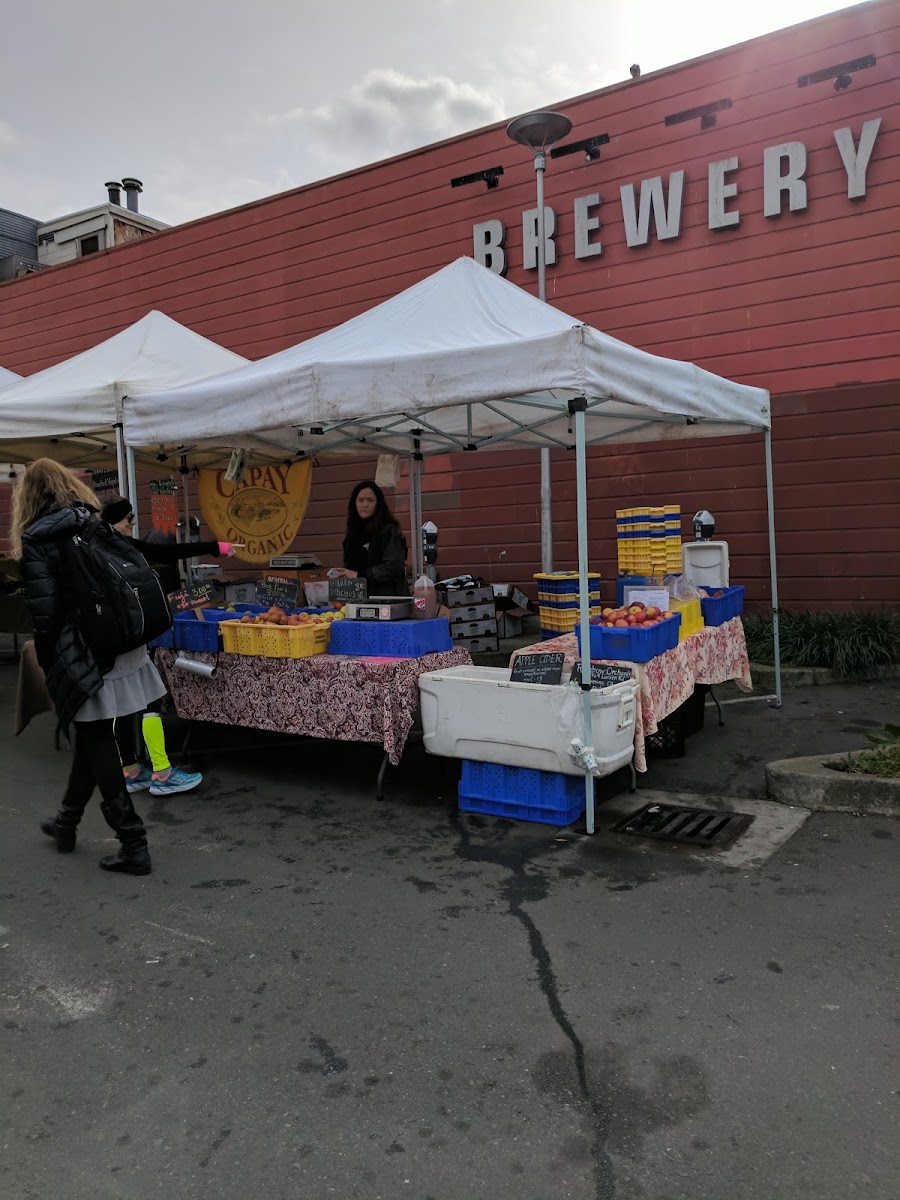 Inner Sunset Farmers' Market photo 3