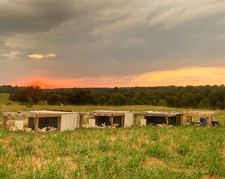 Refuge Farm photo 3