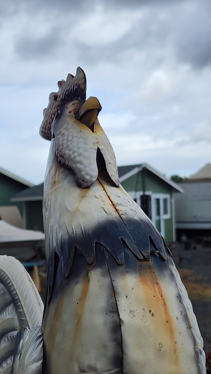 Bermudez Family Farm, LLC photo 5