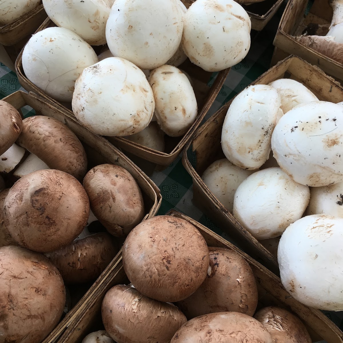 Horner Park Farmers Market photo 5