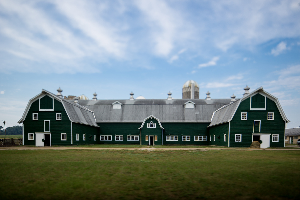 Green Pastures Dairy