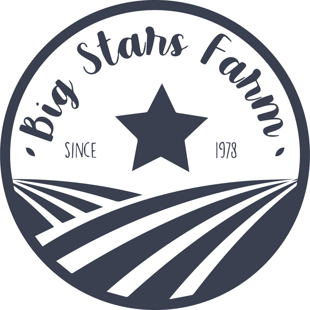 Big Stars Farm photo 2