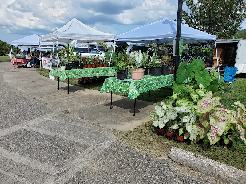 Tallassee Farmers' Market