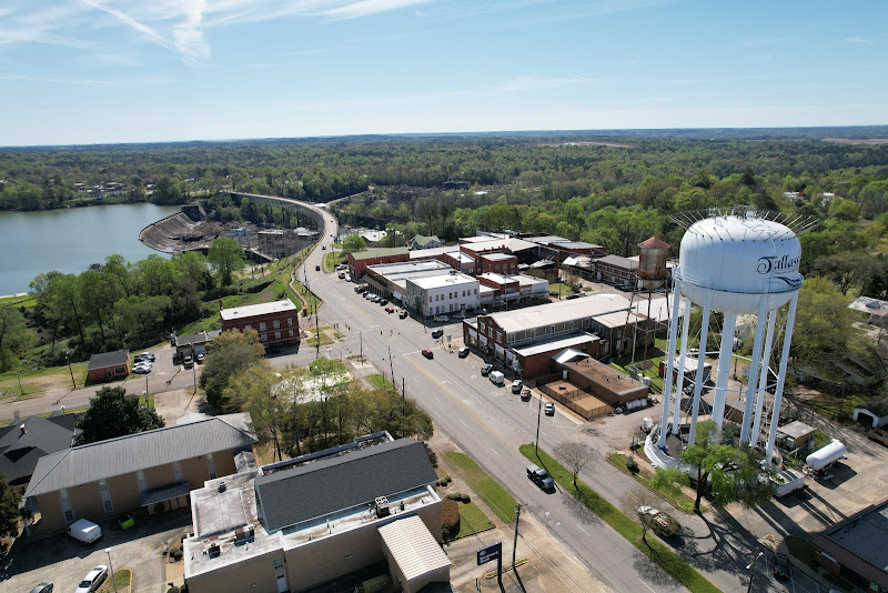 Tallassee Farmers' Market photo 2