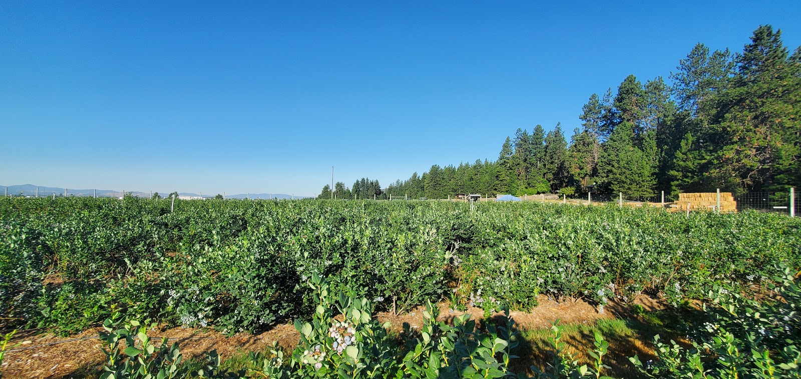 Red Canoe Farms photo 6