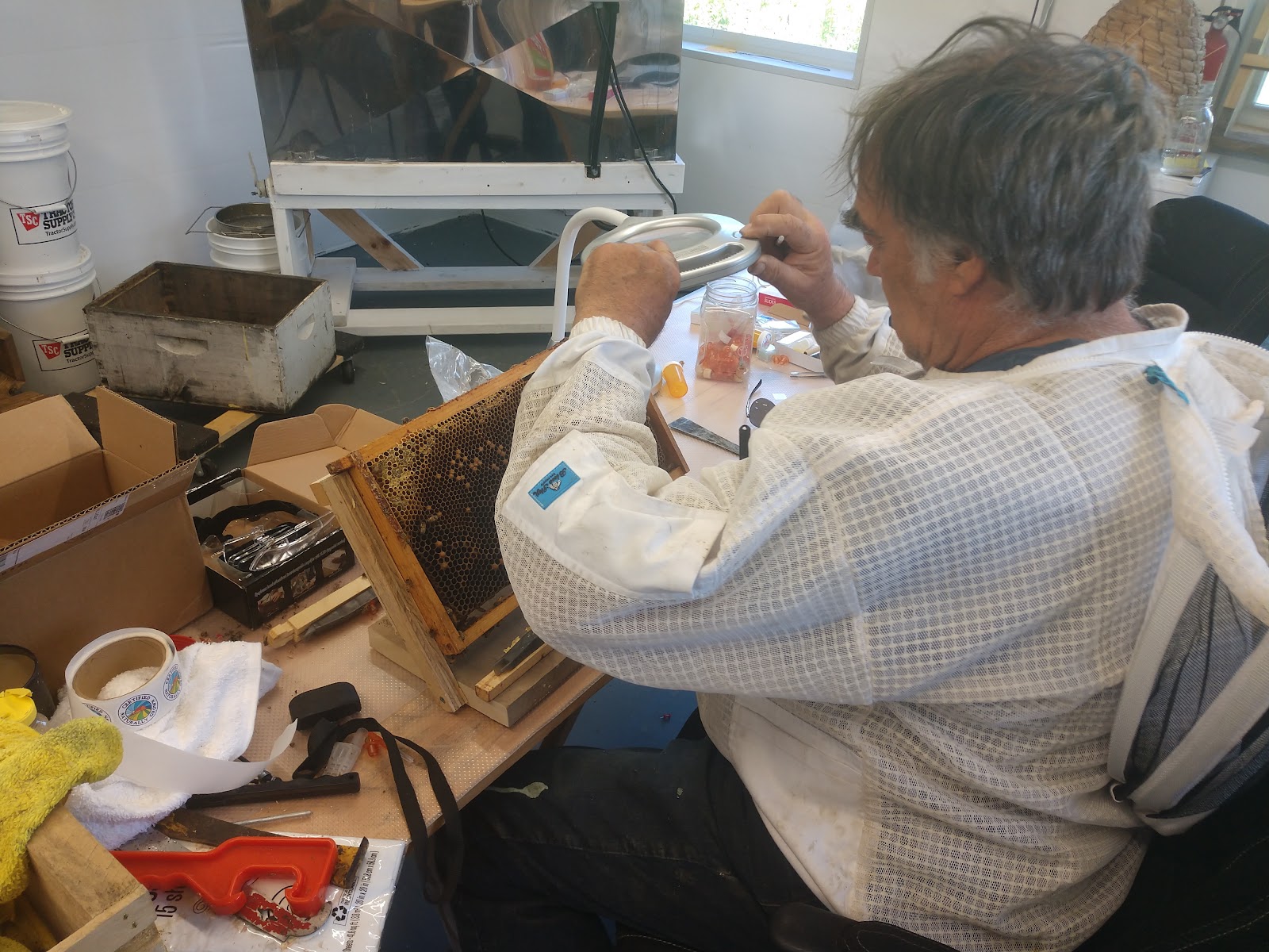 Breezy Ridge Acres photo 3