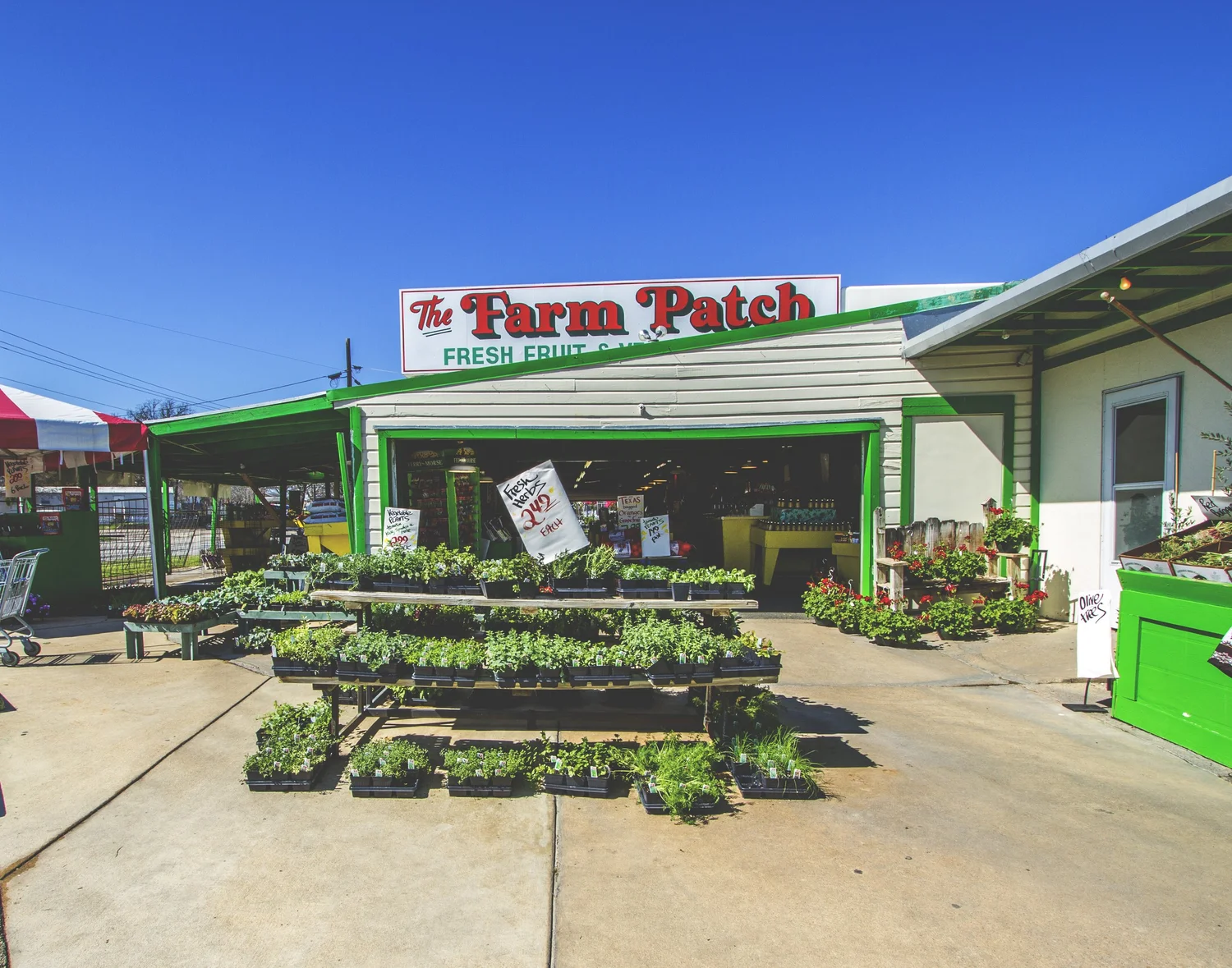 Farm Patch Produce Market & Garden Center