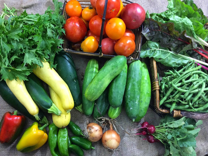 Troque Farms photo 6