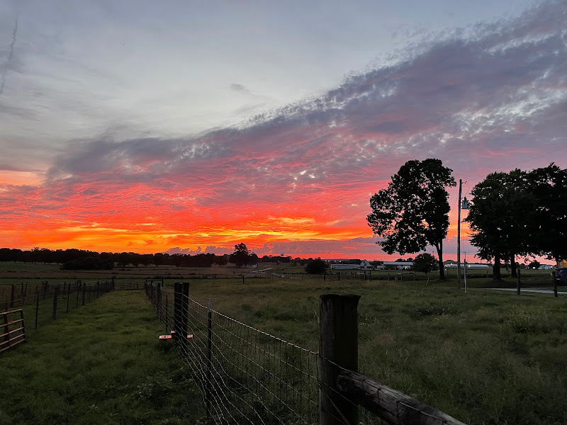 Western Kentucky University Farm photo 3