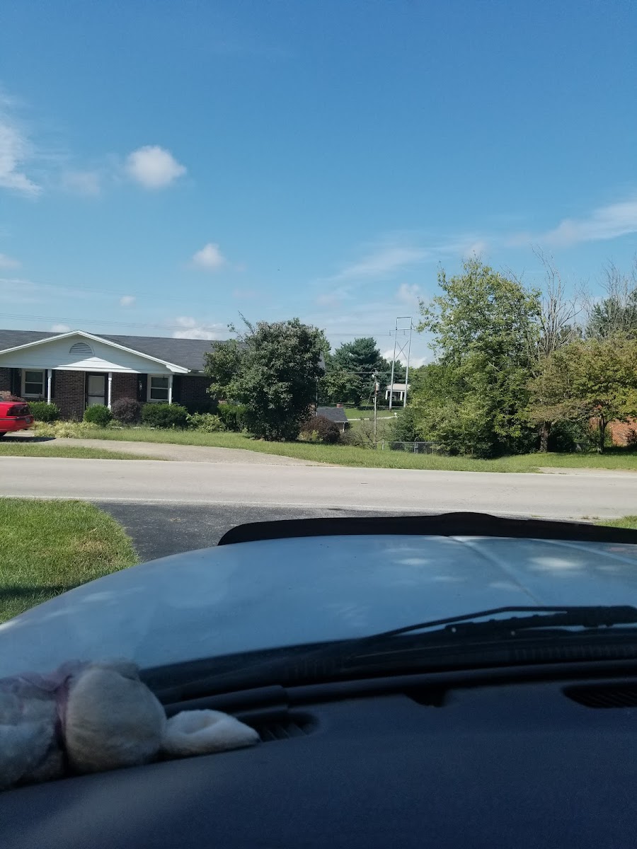 Lucky Clover Farm photo 2