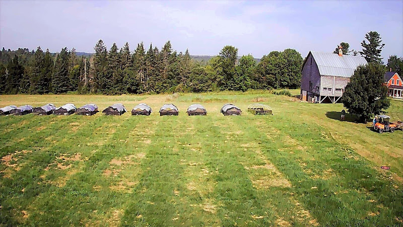 Common Wealth Farm LLC