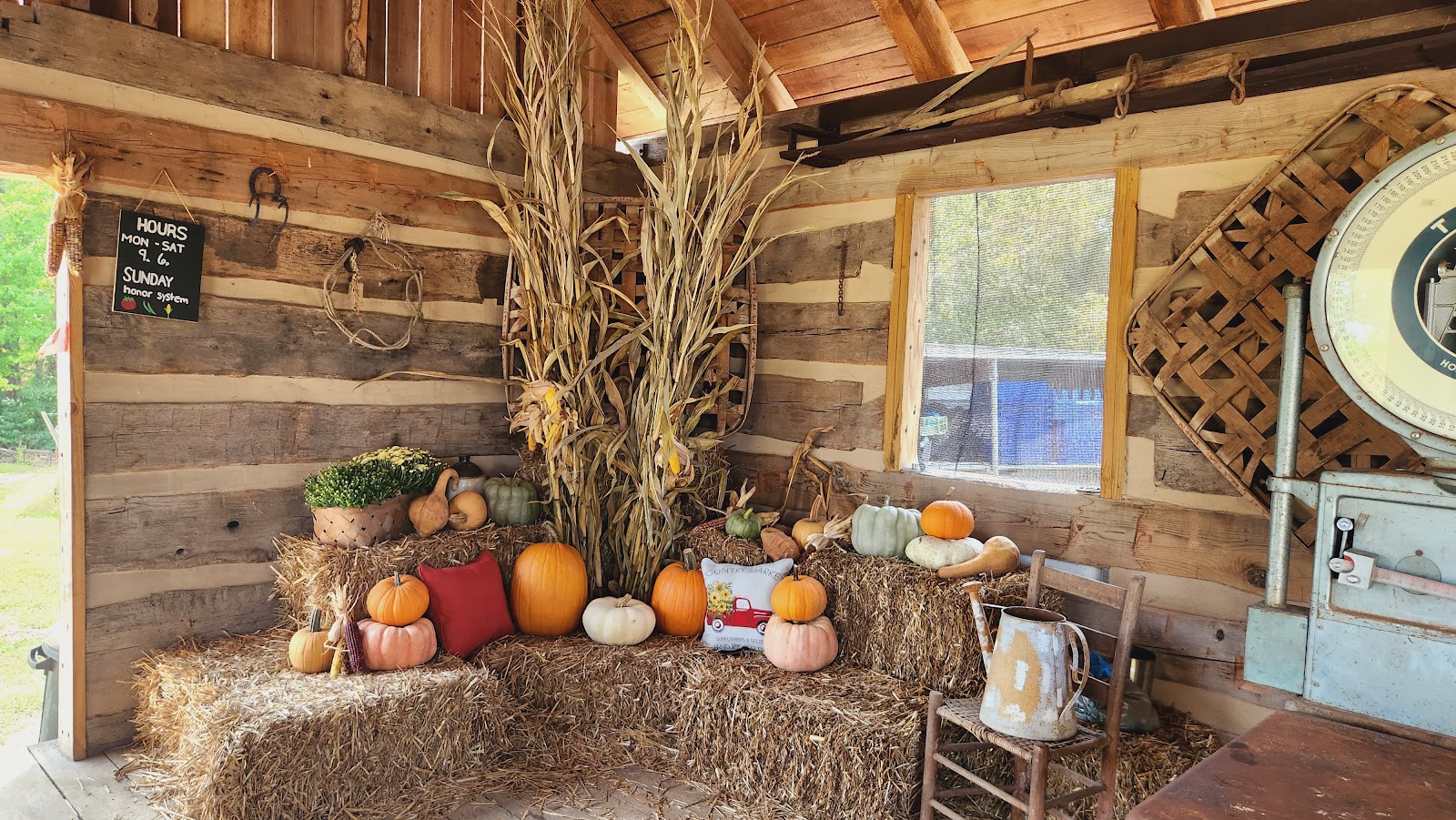 Little Creek Produce photo 3