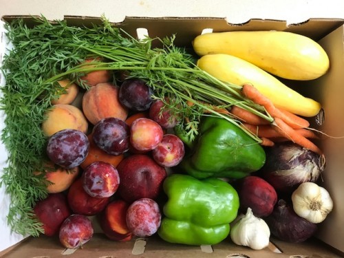 Austin Family Farm photo 5