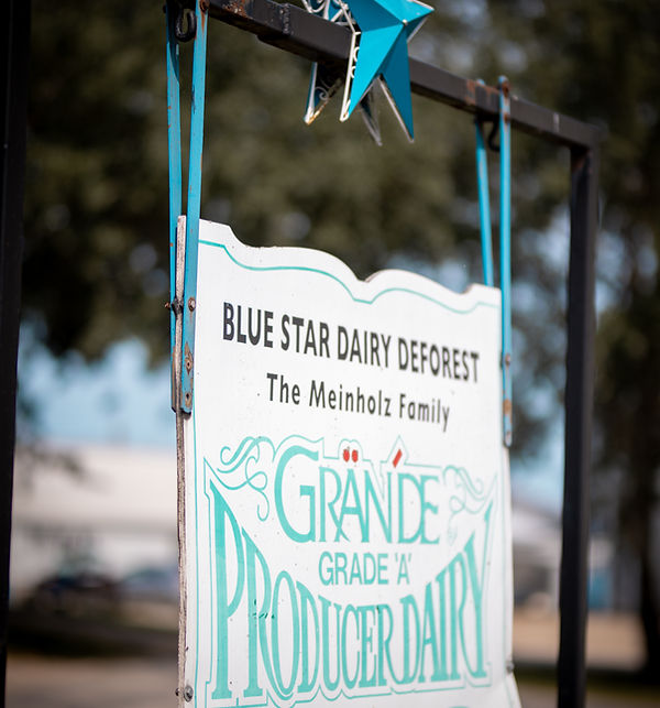 Blue Star Dairy Farms photo 5