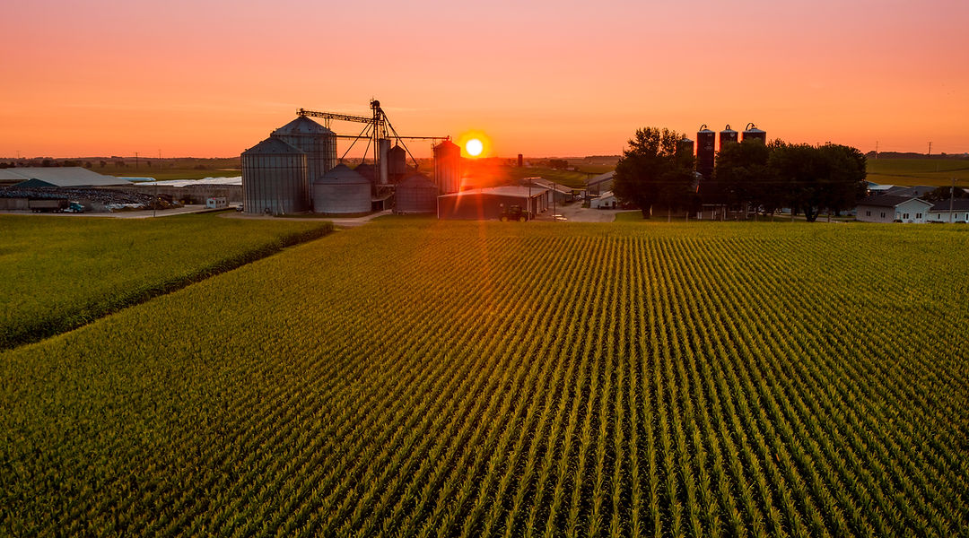 Blue Star Dairy Farms photo 4