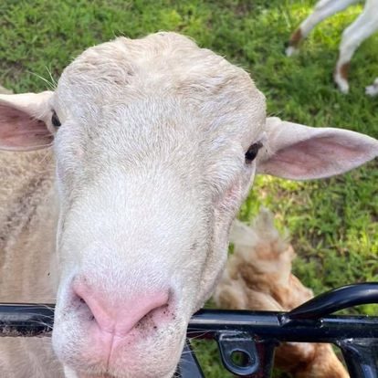 Hidden River Farm, LLC.