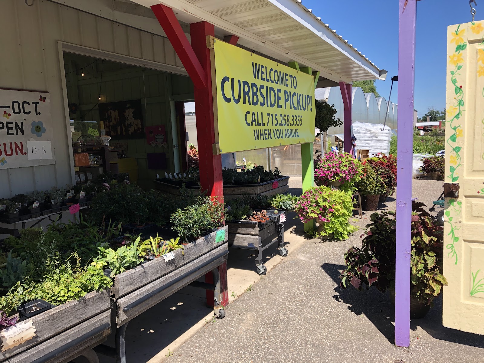 Turners Fresh Market & Greenhouse photo 14