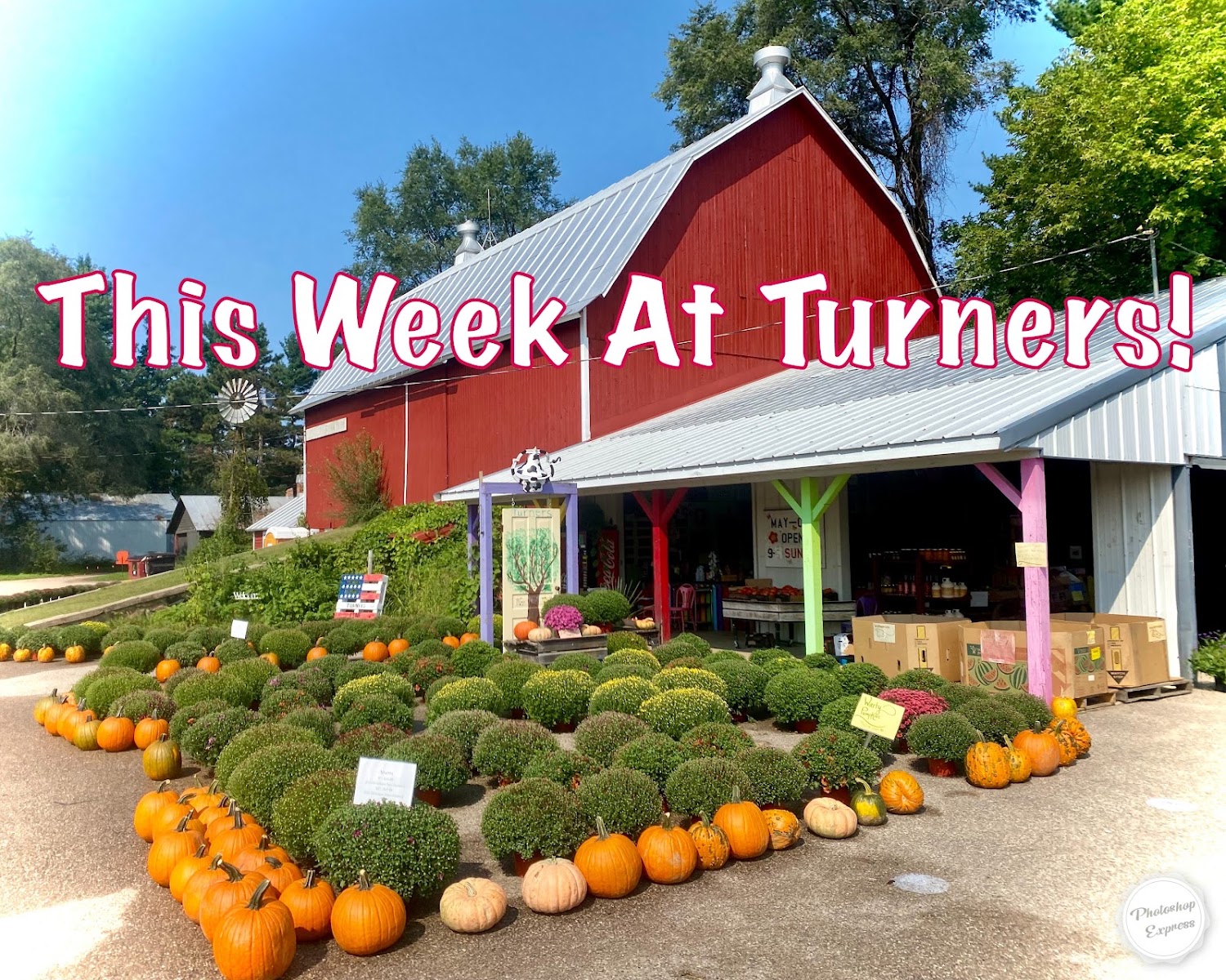 Turners Fresh Market & Greenhouse photo 18