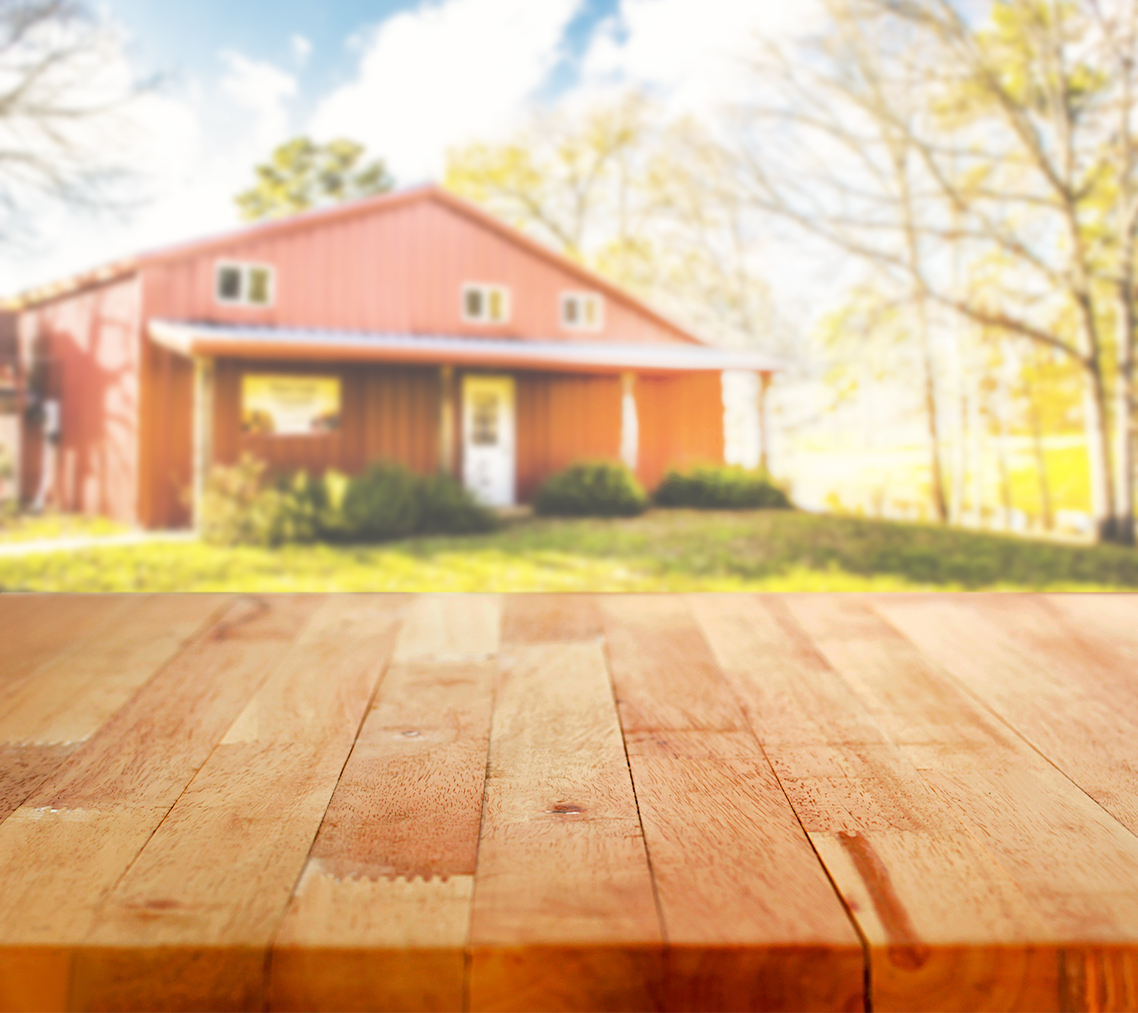 Briar Creek Vineyards