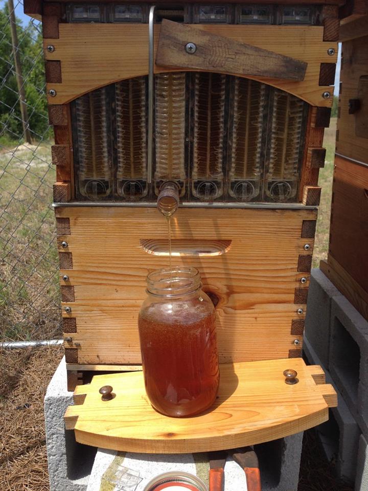 Sunnysweet Orchard & Farm photo 6