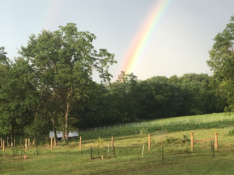 Bluegrass Bounty Farms