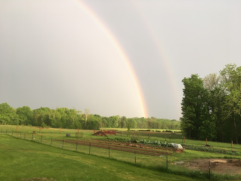 Bluegrass Bounty Farms photo 2