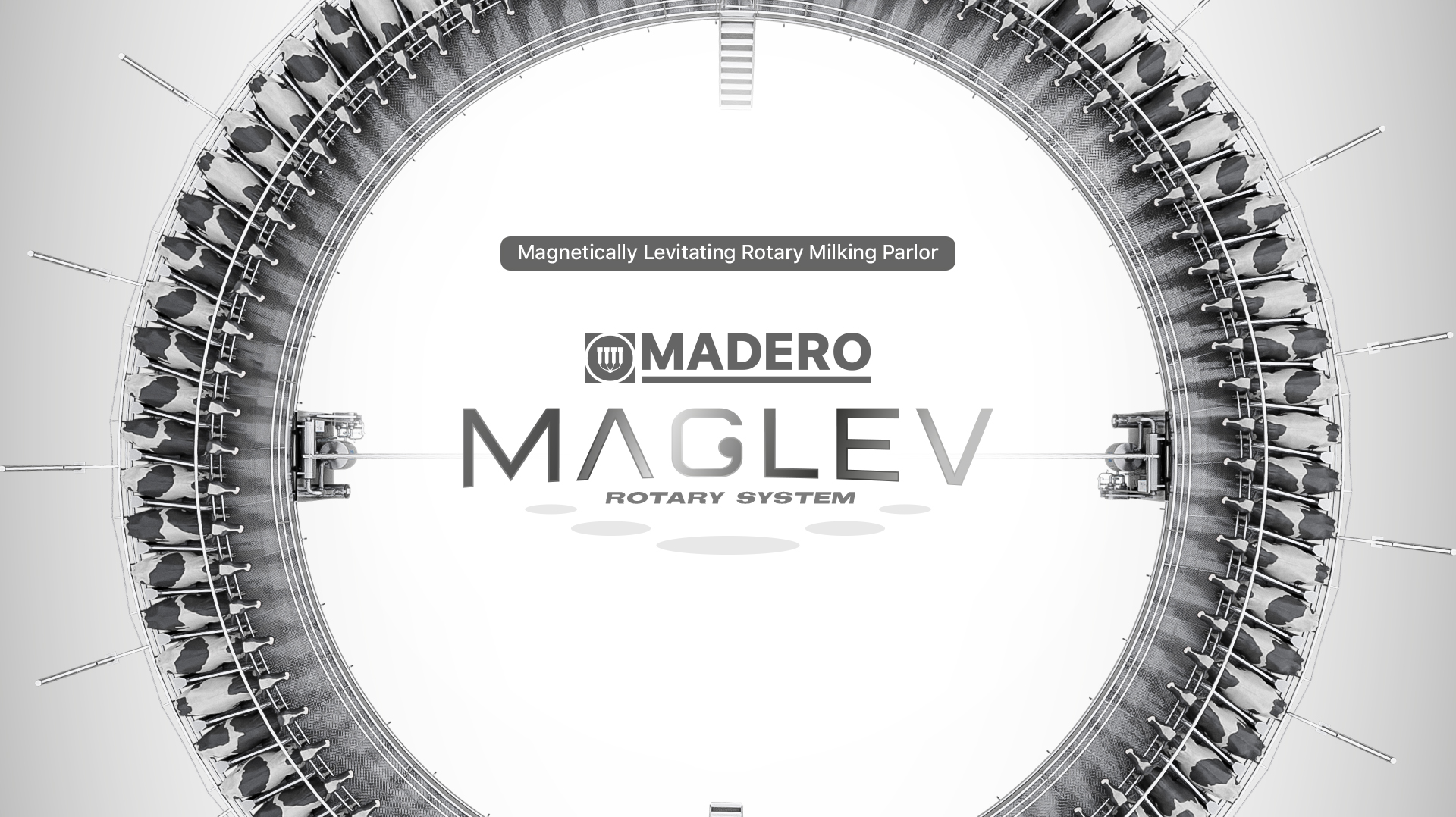 Madero Dairy Systems Inc photo 2