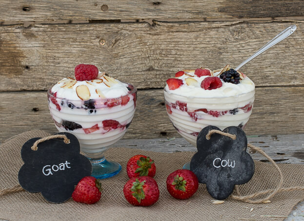 Provider Farms photo 4