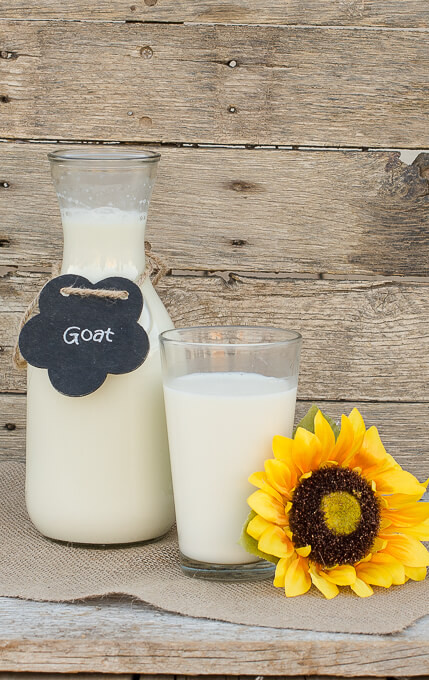 Provider Farms photo 3