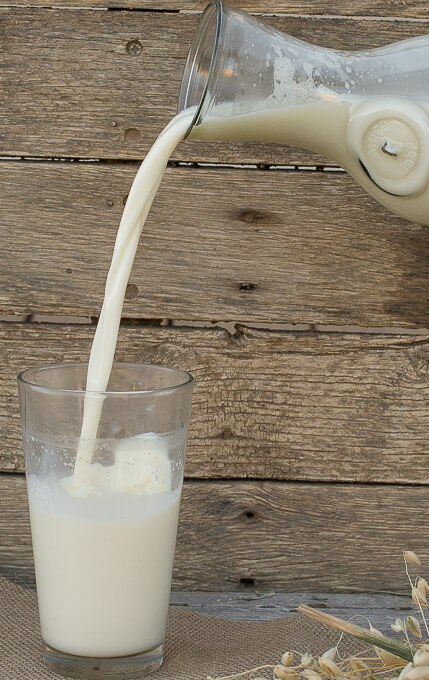 Provider Farms photo 2