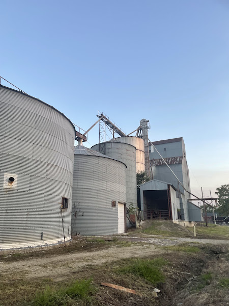 Spring Hill Farmers Market photo 3