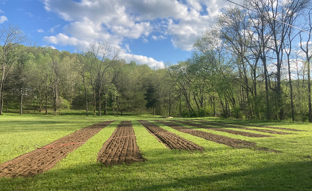 Herron Family Pastures photo 17
