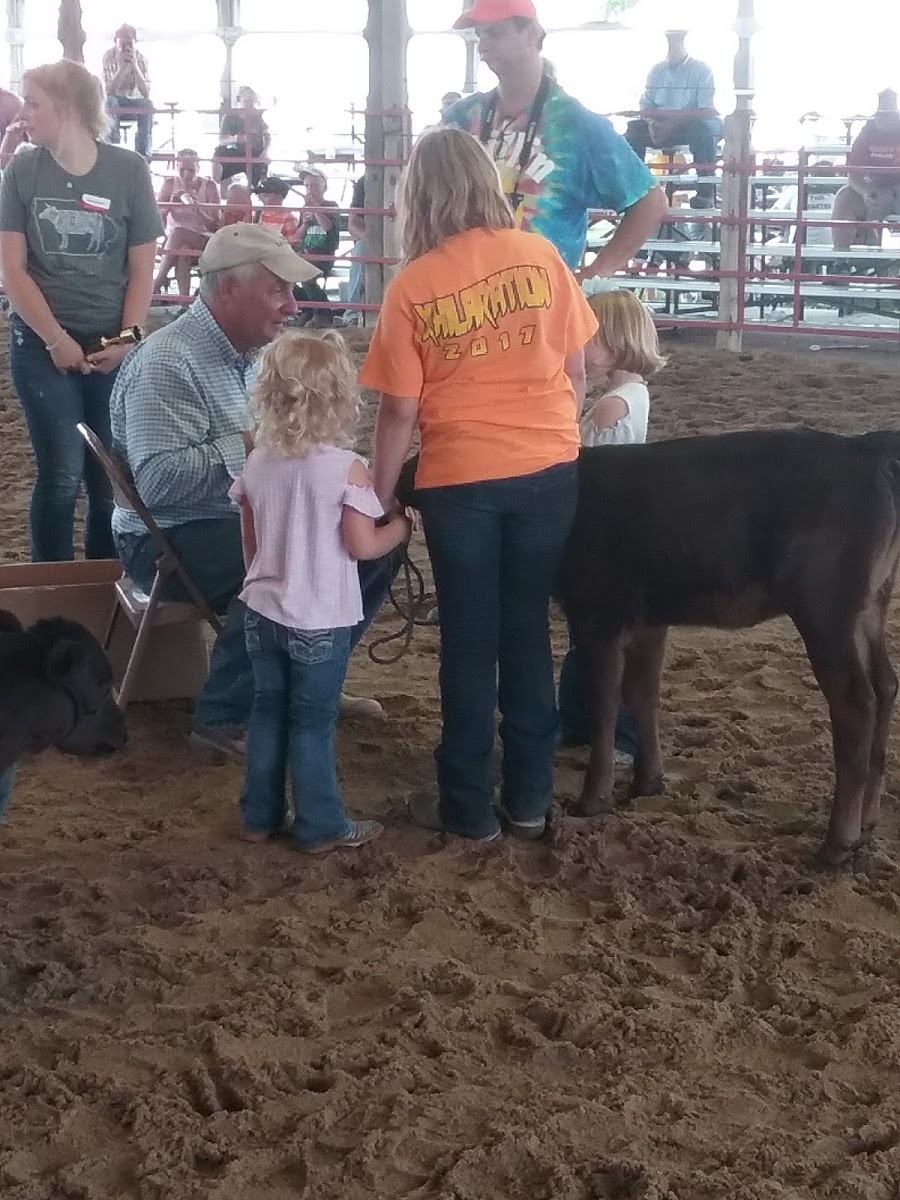 Old School Produce Company