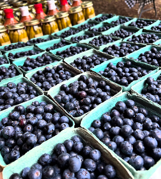 Charleston Farmers Market - Marion Square photo 21