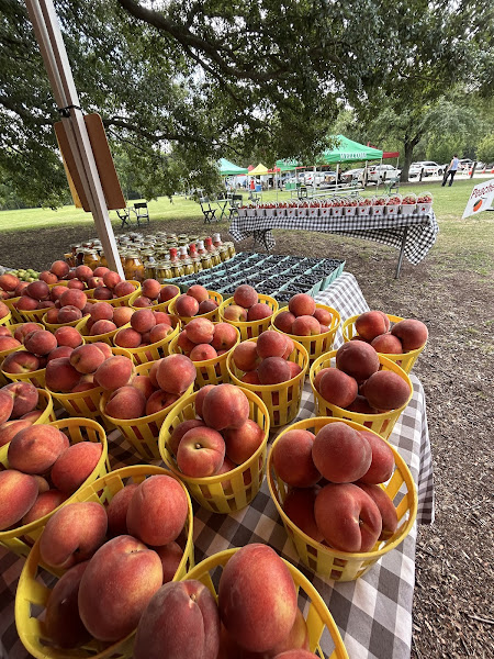 Charleston Farmers Market - Marion Square photo 23