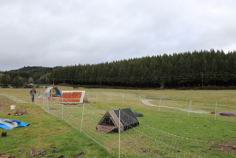 Birdsong Farm Oregon LLC photo 2