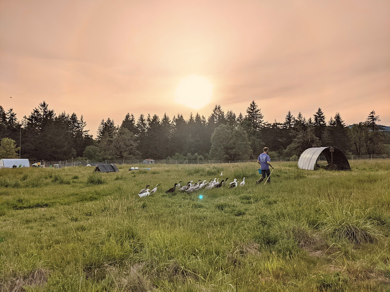 Birdsong Farm Oregon LLC photo 5