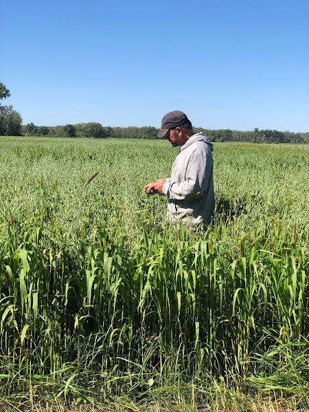 Chisholm Trail Farm L.L.C.