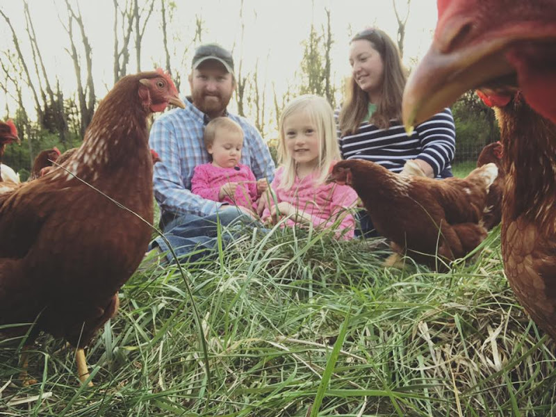 Grass Powered Poultry & Meats photo 10