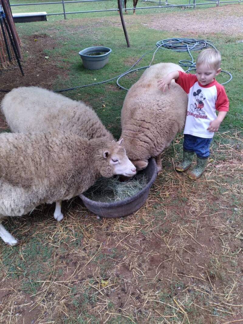 The Mayberry Farm Adventure for Kids photo 28