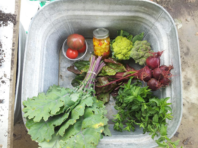 Marvin's Garden Produce